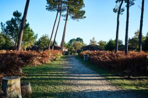 Villages vacances Les Cottages Du Lac : photos des chambres