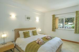 Casa Monte Cristo Apartments - Lime