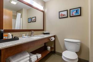King Room - Non-Smoking room in Comfort Inn Story City