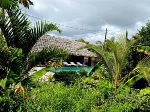 shamba village hotel