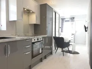 Modern Studio apartment in Newcastle upon Tyne - 戈斯福斯