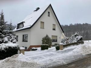 Ferienhaus Sommerhaus-Sauerland