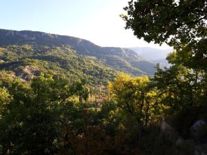 Maisons de vacances Gites Les Costoliers : photos des chambres