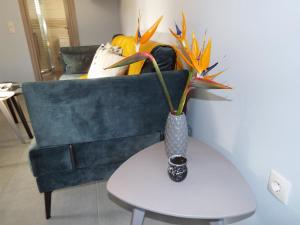 Strelitzia Apartments