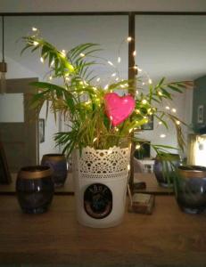 Hollywood Apartament Kosciuszki