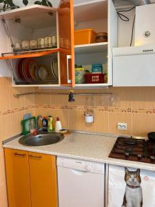 Apartament Bazyla