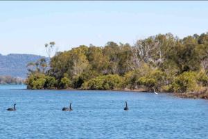 4 Bedroom modern house opposite Wallis Lake