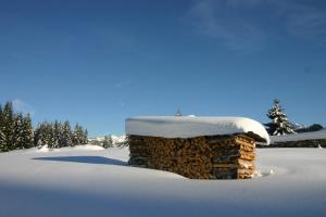 Appartements Chalet Genepi : photos des chambres