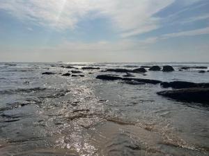 The Studio on Cordia DSTV WIFI 2km from Umhlanga Beach