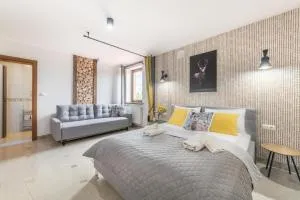 Biały Jeleń z basenem i jacuzzi - 新塔尔格