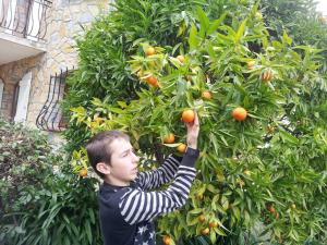 Appartement confortable au Bar-sur-Loup, 84 m², vue montagne