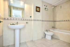 Homeincalpe Apolo XVI 2-11-52