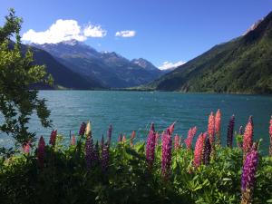 Double or Twin Room room in Albergo Lardi