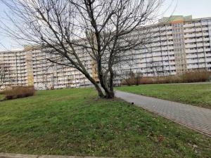 Apartament falowiec