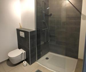 Appartements La Legende, 2 pieces avec parking prive gratuit pres du lac : photos des chambres
