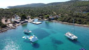 Beach house Danica - resort & tavern BAIN, free transport, pool, Island of Žut - Kornati