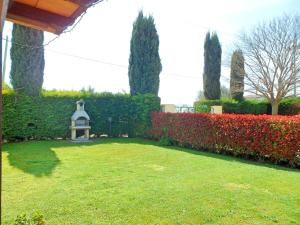 Charming studio in Pescia Romana - 28 m² Terrace