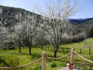 Chalets Le Chalet : photos des chambres