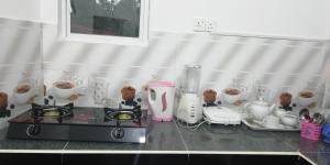 Sandu Guest