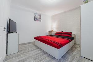 Studio Central Poarta Schei