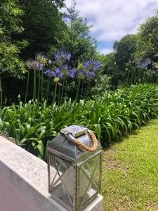 Quintinha de Palmyra - Camacha