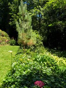 Quintinha de Palmyra