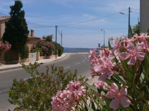 Hotels Hotel le Calypso : photos des chambres