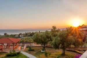 Blue Fox Halkidiki Greece