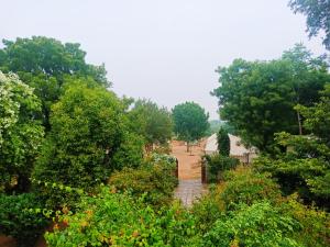 Jawai Nature Stay Jawai