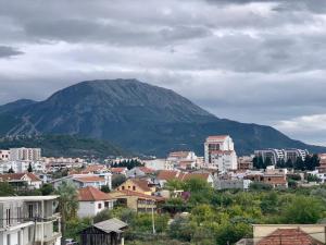 Corall apartment Bar