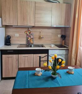 Апартаменти-Студия в Комплекс Нестинарка