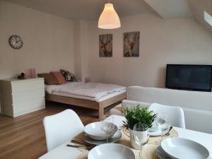 Apartmány Břachovna