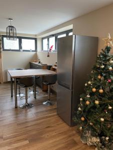 Appartements Charmant logement avec balneo : photos des chambres