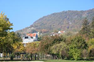 Steiner Villa Badacsony