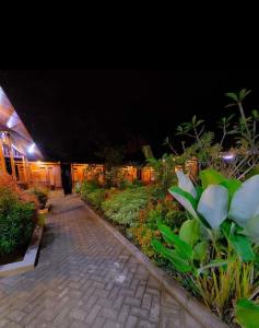 Rumah Mertua Pulau Merah