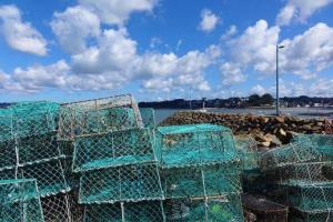 Maisons de vacances Chez VICTOR le pecheur : photos des chambres