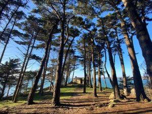 Maisons de vacances Chez VICTOR le pecheur : photos des chambres