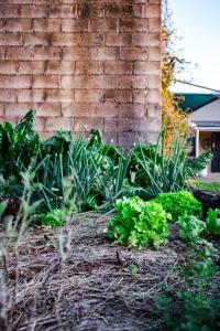 The Aloes Farm - The Studio & The Gallery