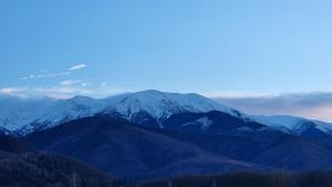 Cabana Supporter -Supporter Chalet