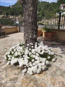 La Rueda Apartamentos Rurales