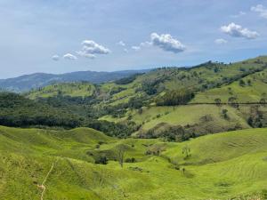 Sitio Vale Verde, Bairro do Centro