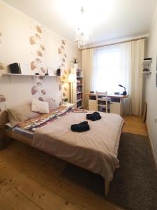 Apartament Wyspa Piasek