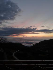 Eagle View Milmari N81