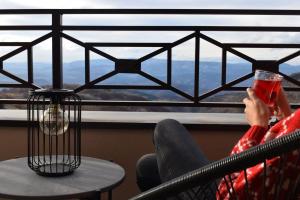 Eagle View Milmari N81