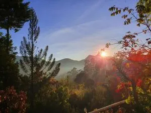 Princess of Dickoya Homestay - Hatton