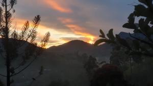 Princess of Dickoya Homestay