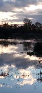 B&B / Chambres d'hotes Espace Nature Studio independant proche du Parc des oiseaux : Chambre Double - Vue sur Jardin - Non remboursable