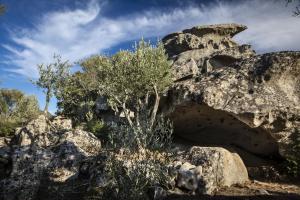 Gallicantu Stazzo Retreat img9