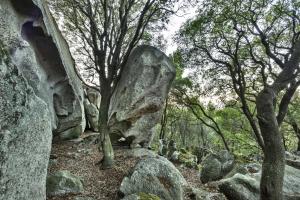 Gallicantu Stazzo Retreat img13