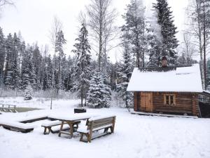 Nedsaja metsamaja ja saun
